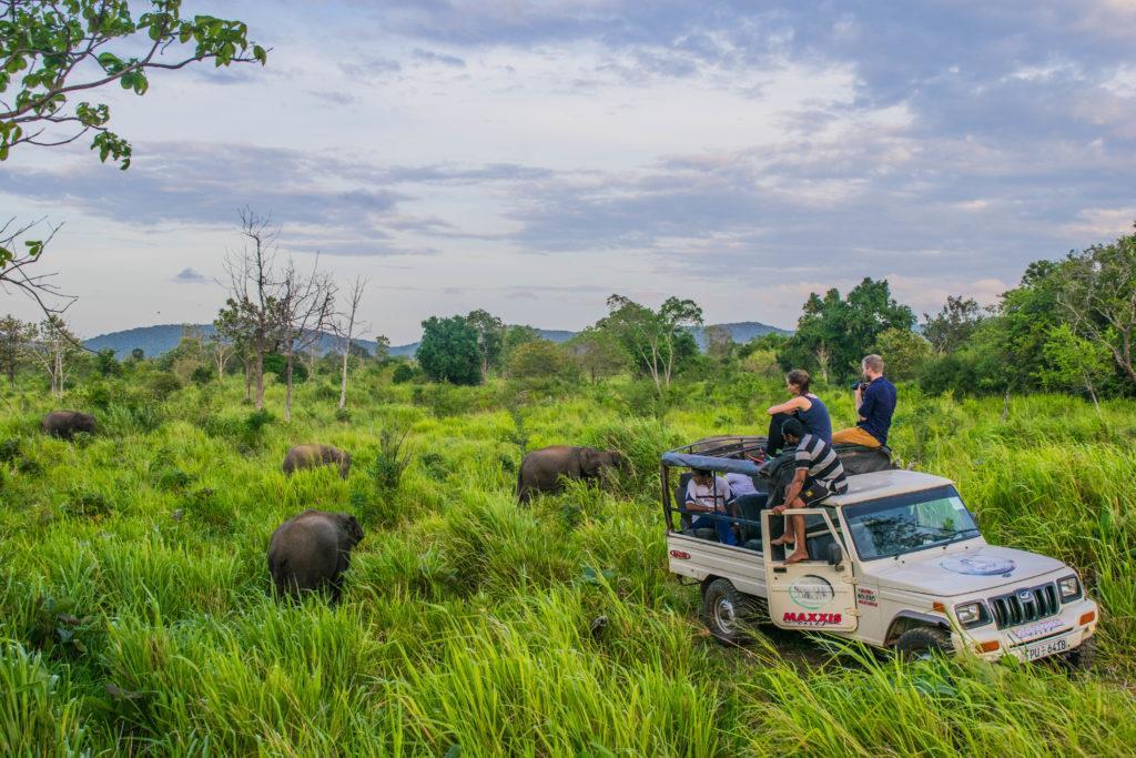 Sundari Eco Village ハバラナ エクステリア 写真